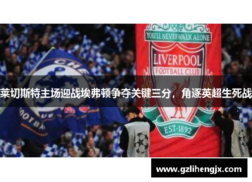 莱切斯特主场迎战埃弗顿争夺关键三分，角逐英超生死战
