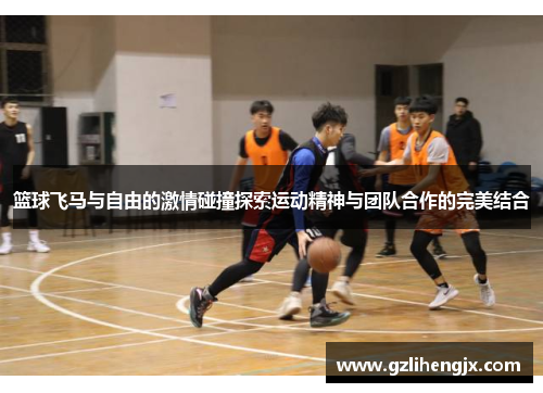 篮球飞马与自由的激情碰撞探索运动精神与团队合作的完美结合