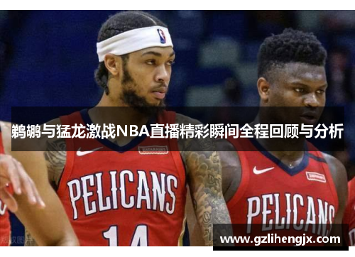 鹈鹕与猛龙激战NBA直播精彩瞬间全程回顾与分析